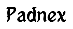 Padnex - logo